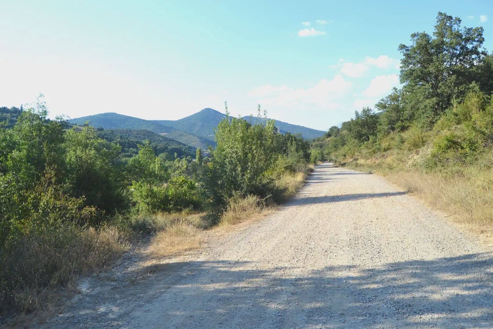Terreno Não Urbanizado para venda em Jasa - 50 000 € (Ref: 9963491)
