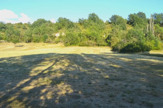 Undeveloped Land for sale in Jasa - € 50,000 (Ref: 9963491)