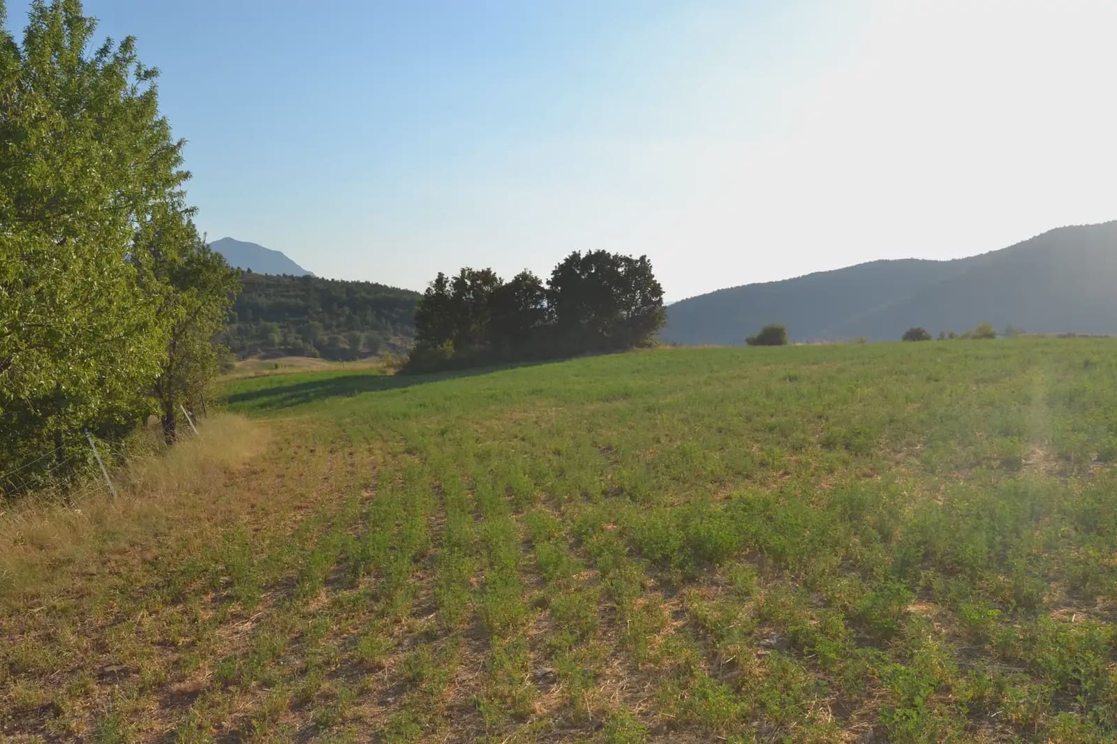 Terreno Non Edificato in vendita in Jasa - 80.000 € (Rif: 9963492)