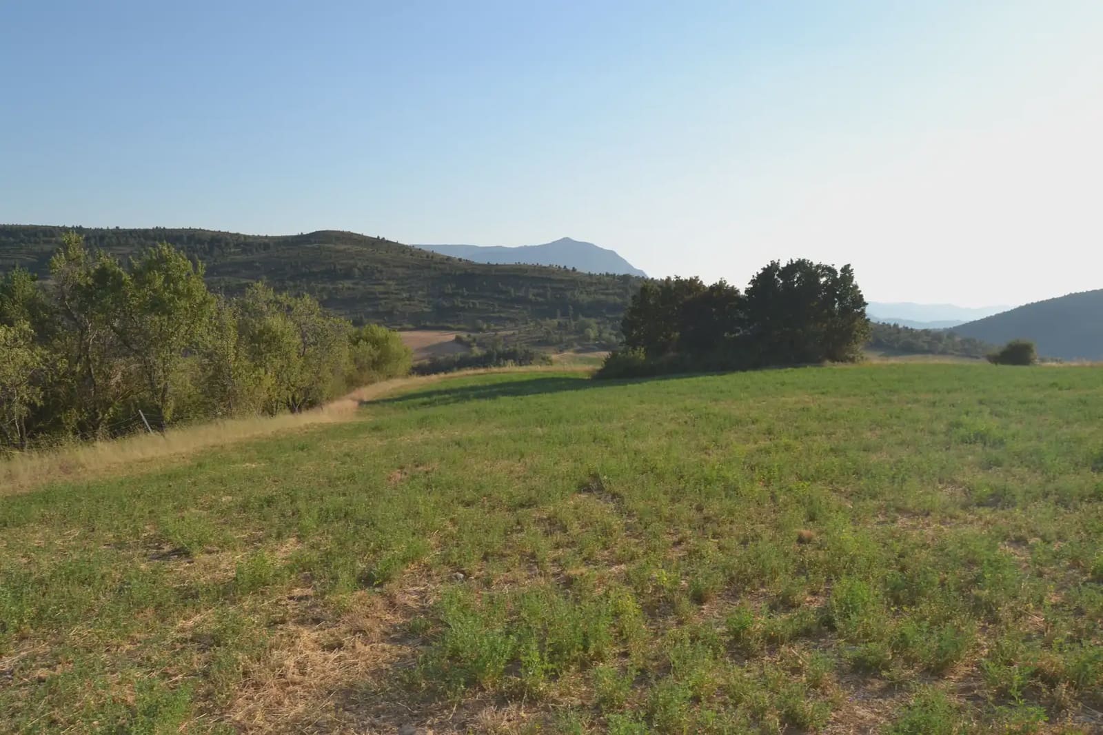 Terreno Non Edificato in vendita in Jasa - 80.000 € (Rif: 9963492)