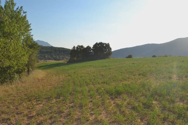 Undeveloped Land for sale in Jasa - € 80,000 (Ref: 9963492)
