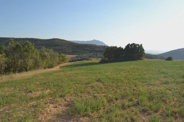 Undeveloped Land for sale in Jasa - € 80,000 (Ref: 9963492)