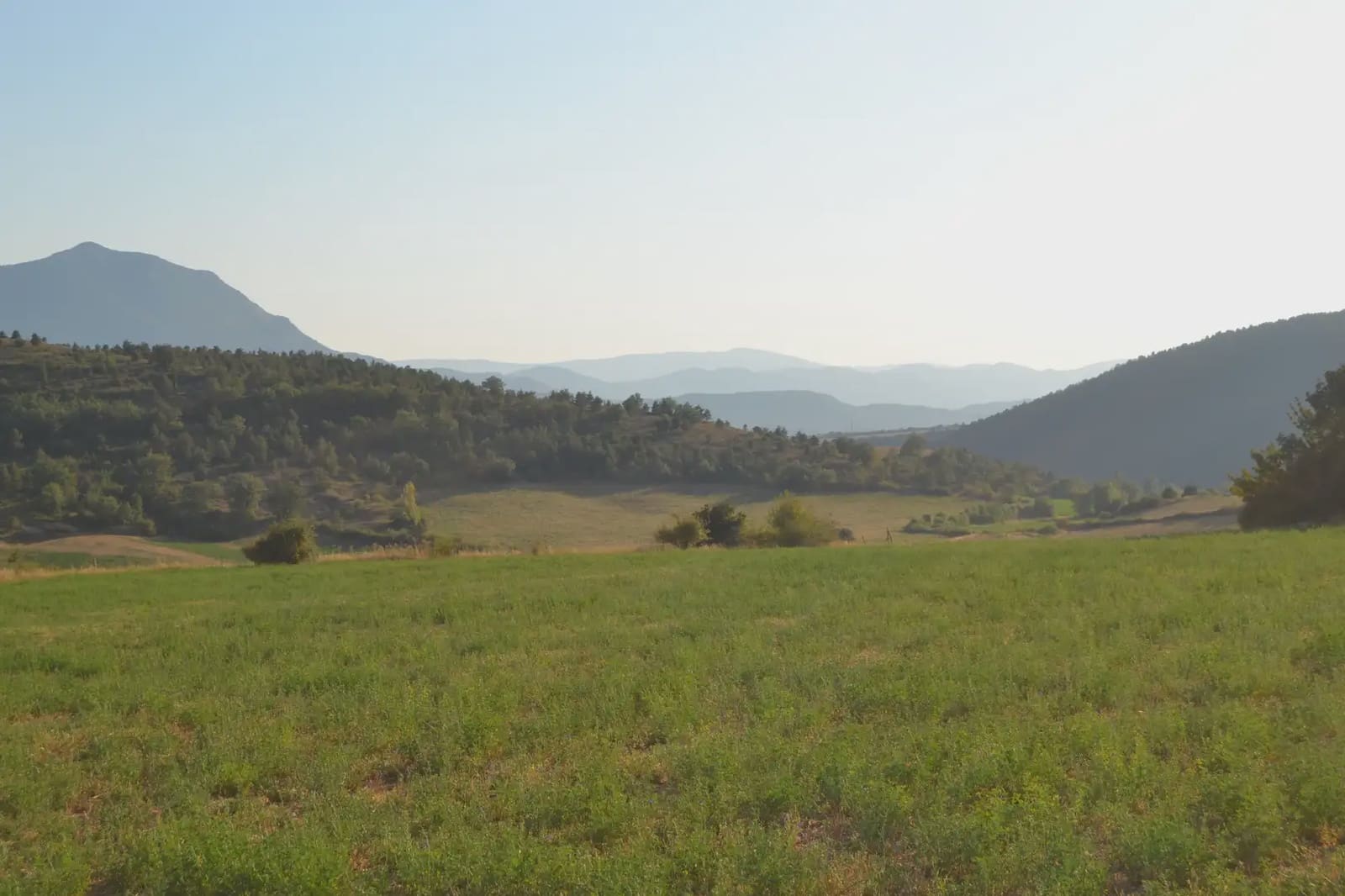 Terreno Non Edificato in vendita in Jasa - 80.000 € (Rif: 9963492)