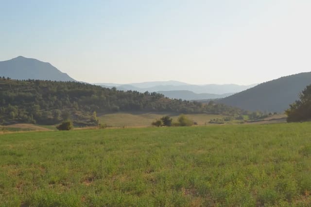 Undeveloped Land for sale in Jasa - € 80,000 (Ref: 9963492)