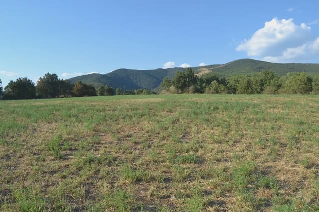 Undeveloped Land for sale in Jasa - € 80,000 (Ref: 9963492)