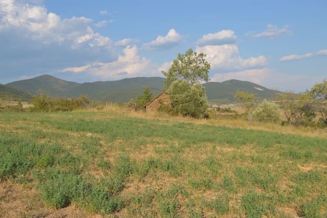 Undeveloped Land for sale in Jasa - € 80,000 (Ref: 9963492)