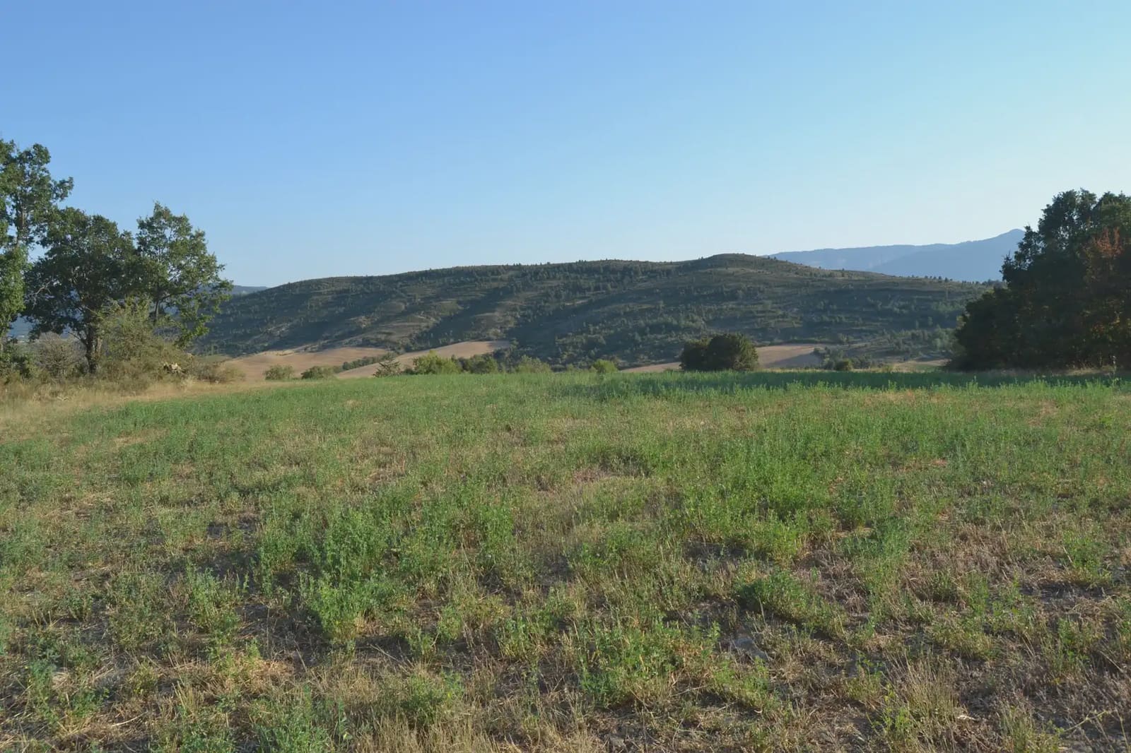 Terreno Non Edificato in vendita in Jasa - 80.000 € (Rif: 9963492)