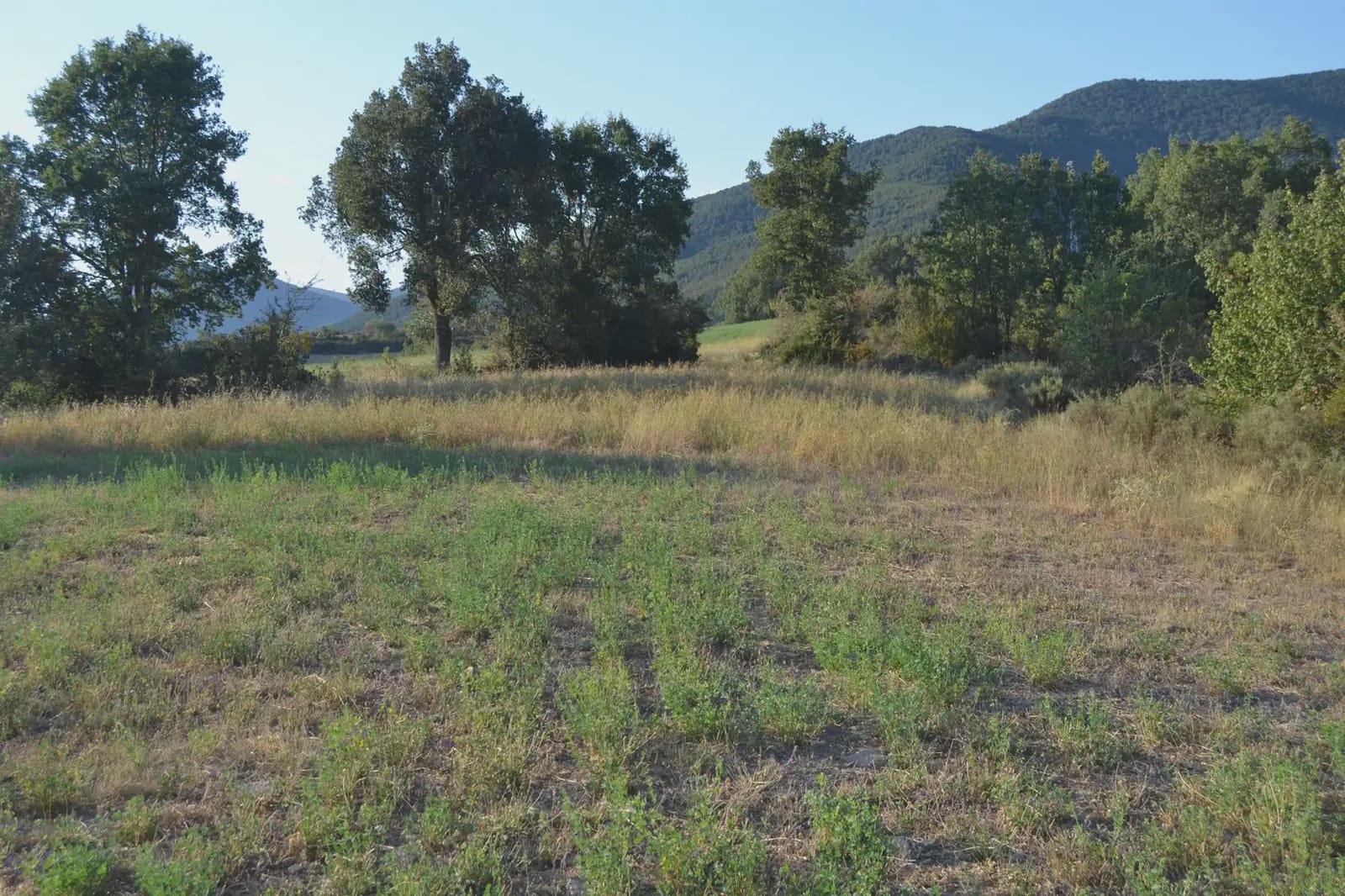 Terreno Non Edificato in vendita in Jasa - 80.000 € (Rif: 9963492)