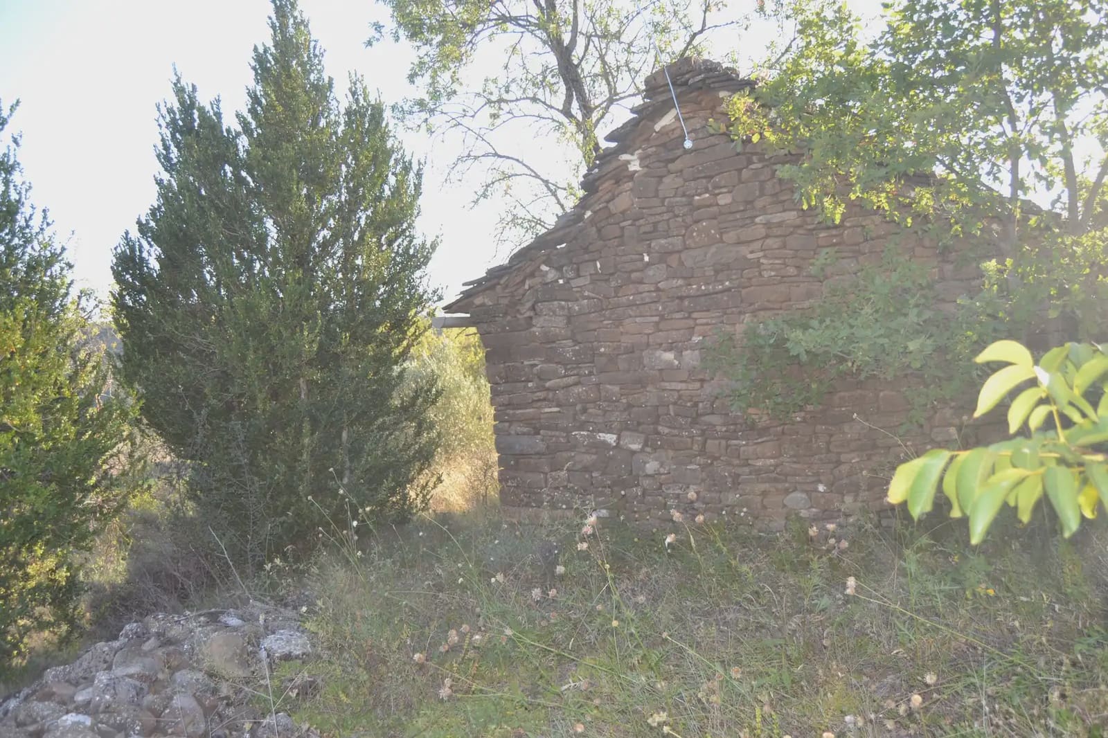 Terreno Non Edificato in vendita in Jasa - 80.000 € (Rif: 9963492)