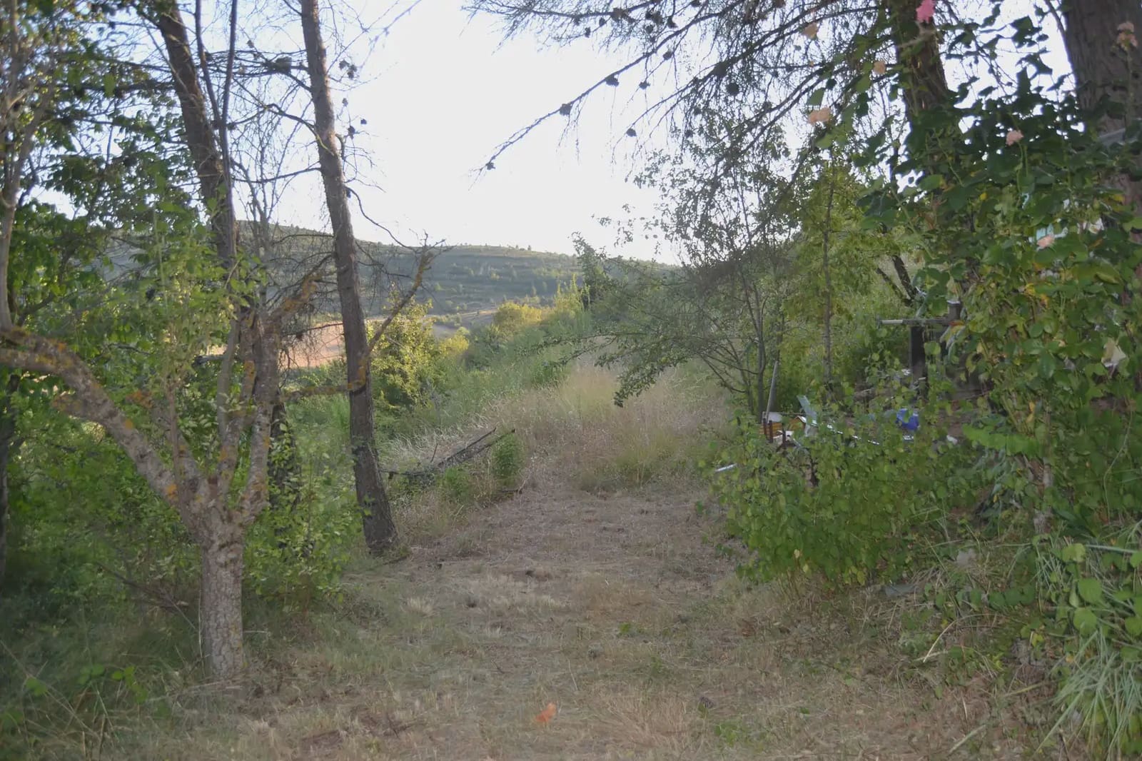 Terreno Non Edificato in vendita in Jasa - 80.000 € (Rif: 9963492)