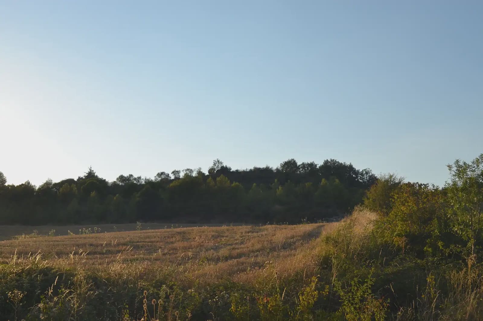 Terreno Non Edificato in vendita in Jasa - 80.000 € (Rif: 9963492)
