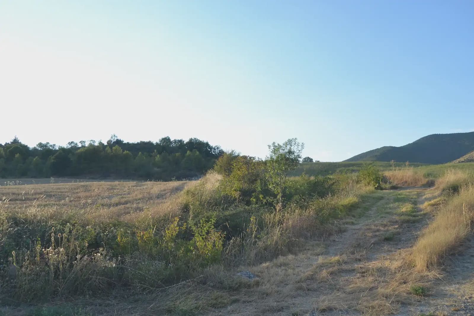 Terreno Non Edificato in vendita in Jasa - 80.000 € (Rif: 9963492)