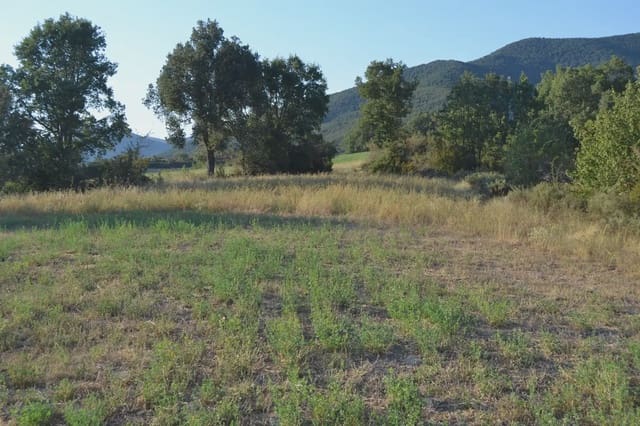 Undeveloped Land for sale in Jasa - € 80,000 (Ref: 9963492)