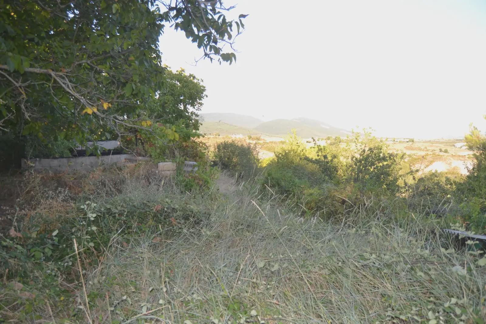 Terreno Non Edificato in vendita in Jasa - 80.000 € (Rif: 9963492)