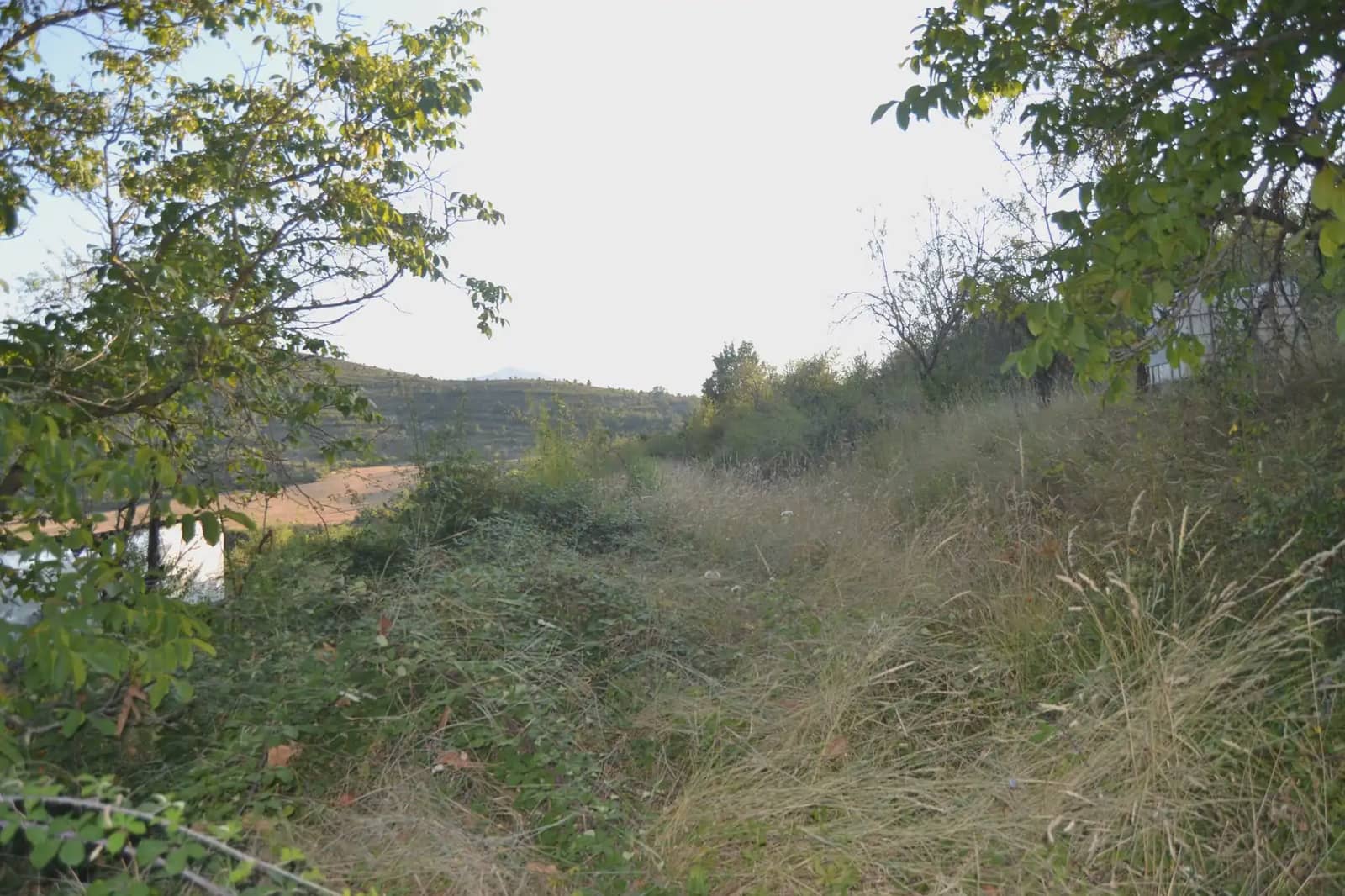 Terreno Non Edificato in vendita in Jasa - 80.000 € (Rif: 9963492)