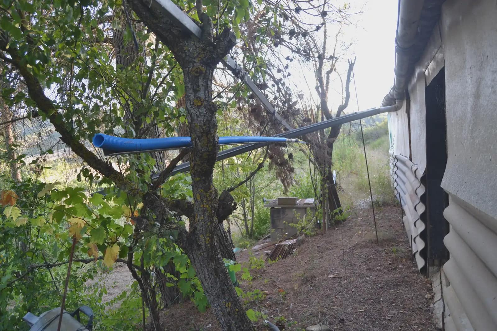 Terreno Non Edificato in vendita in Jasa - 80.000 € (Rif: 9963492)