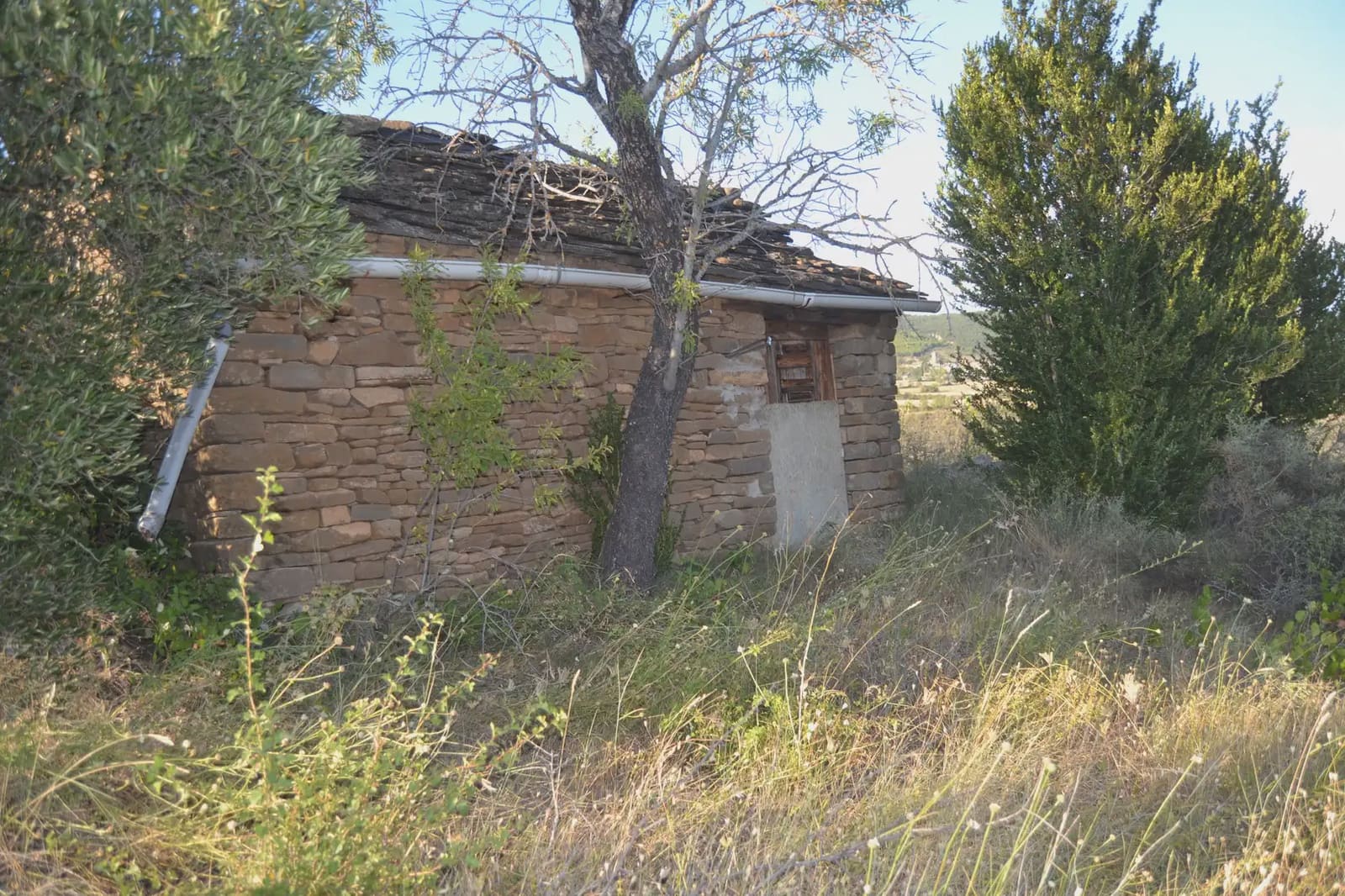 Terreno Non Edificato in vendita in Jasa - 80.000 € (Rif: 9963492)