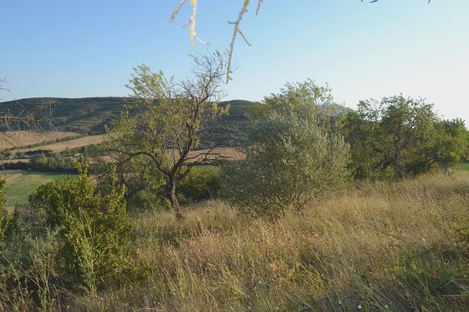 Terreno Non Edificato in vendita in Jasa - 80.000 € (Rif: 9963492)
