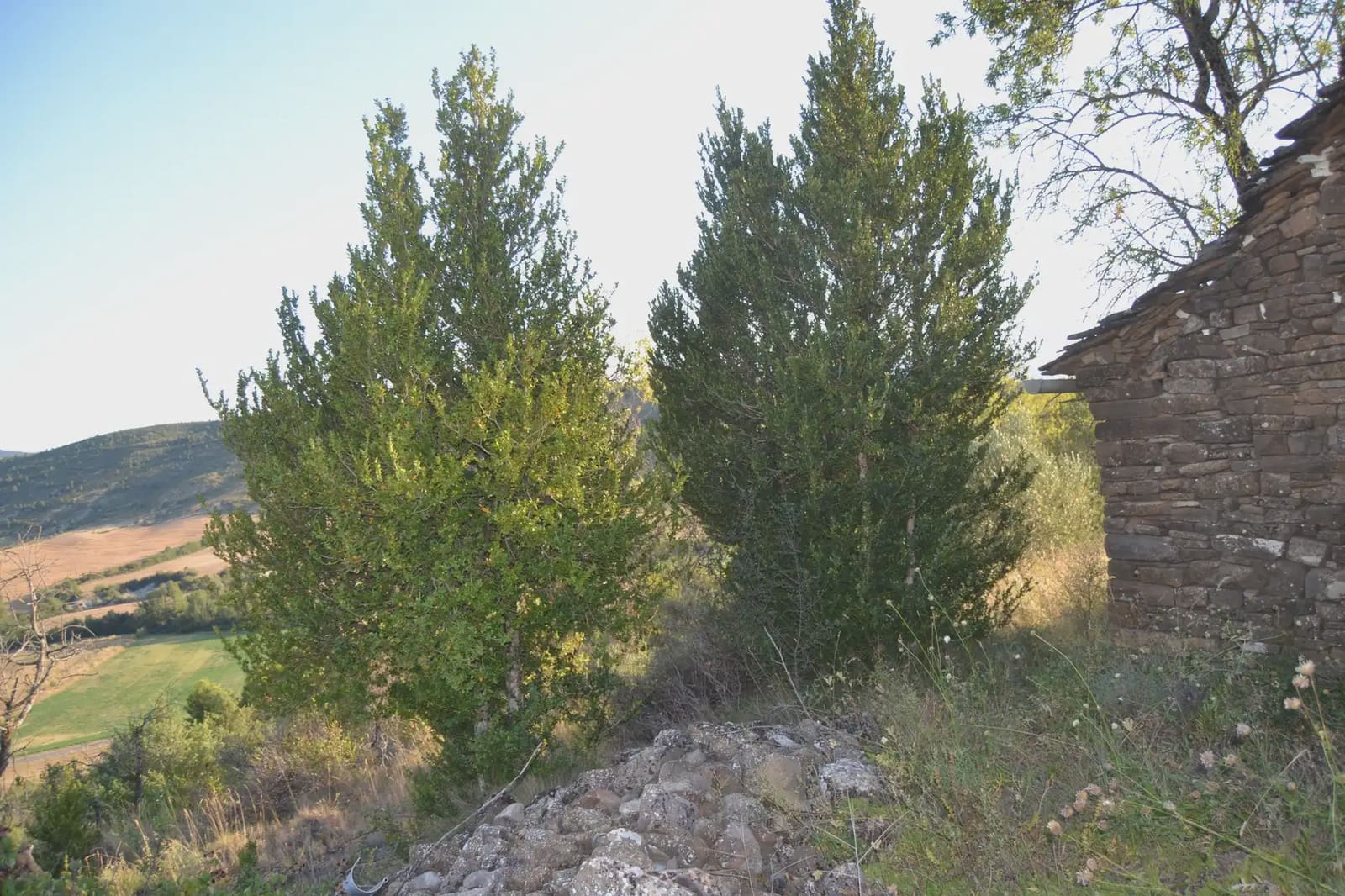 Terreno Non Edificato in vendita in Jasa - 80.000 € (Rif: 9963492)
