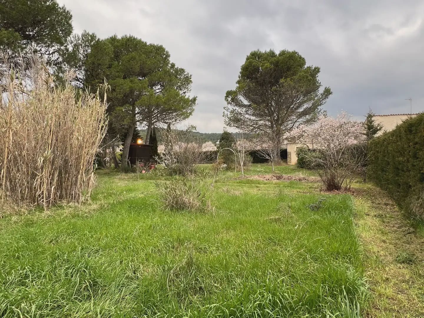2 Zimmer Finca/Landgut zu verkaufen in Murillo de Gallego - 230.000 € (Ref: 9963499)