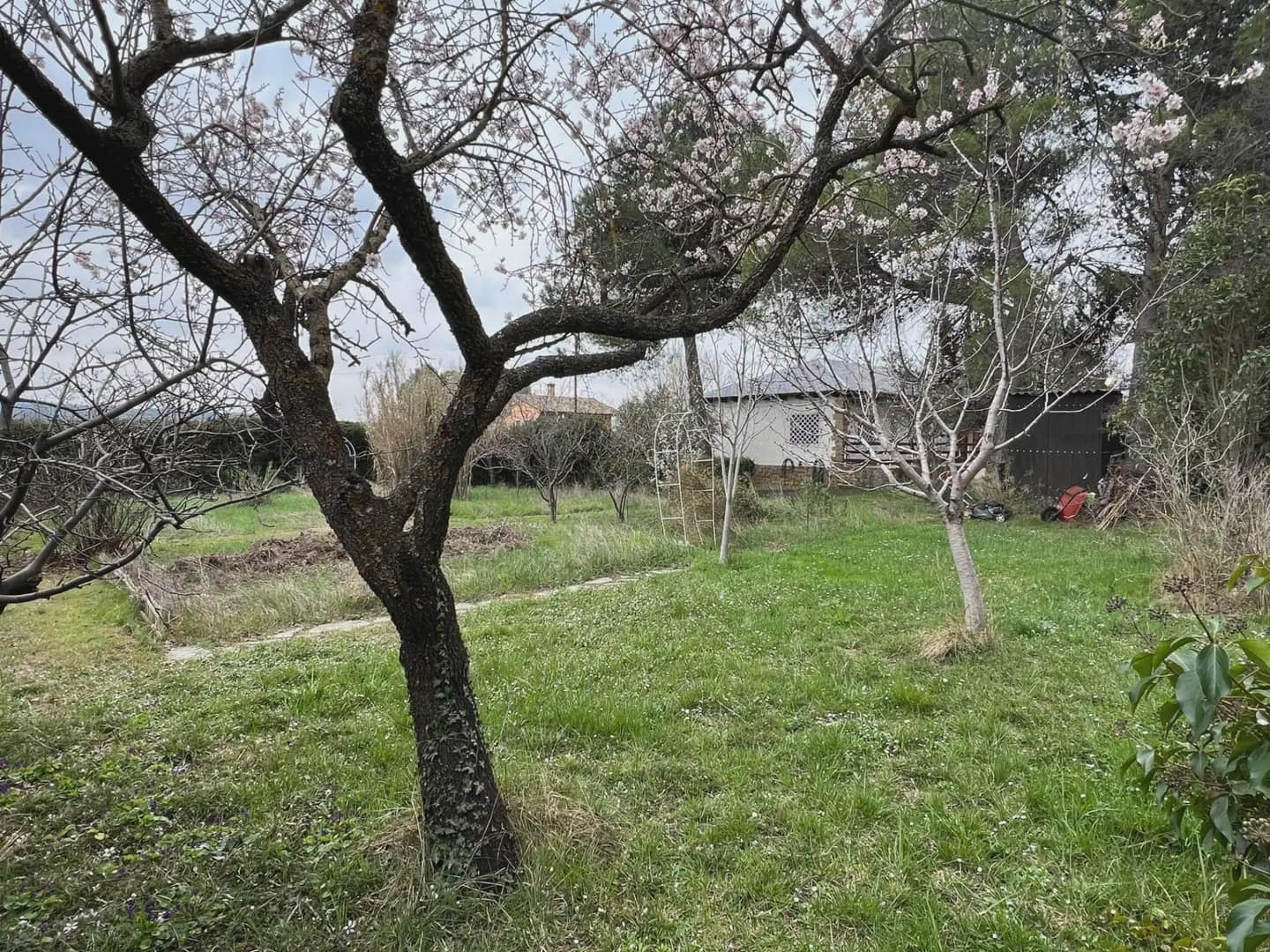 2 Zimmer Finca/Landgut zu verkaufen in Murillo de Gallego - 230.000 € (Ref: 9963499)