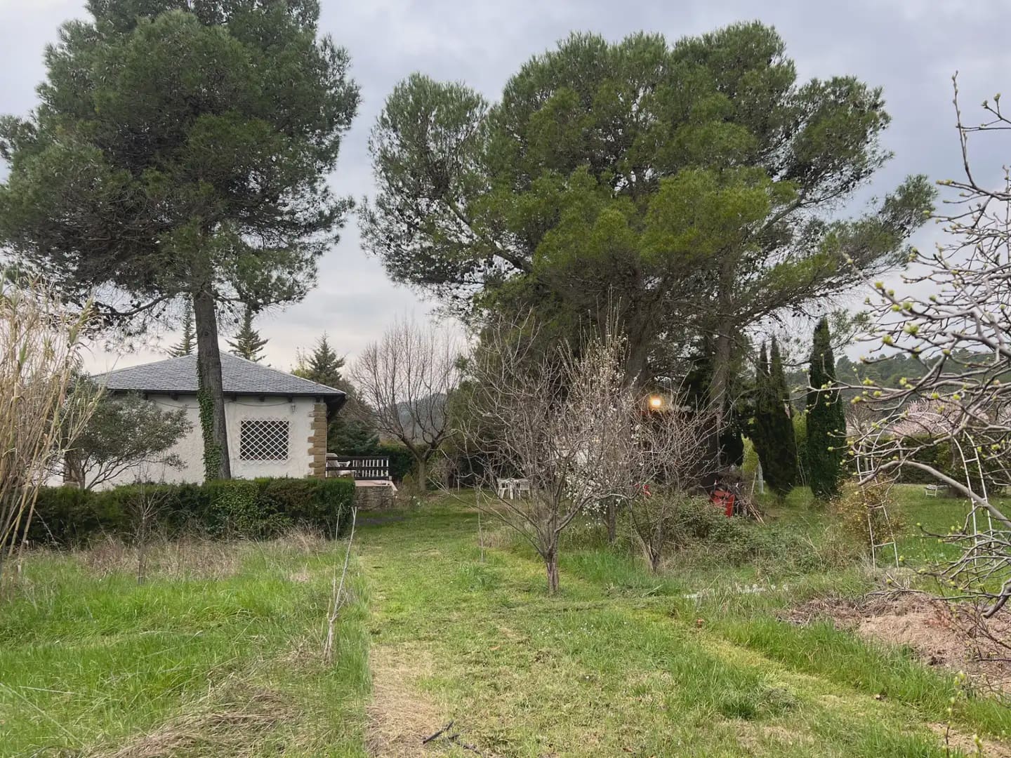 2 Zimmer Finca/Landgut zu verkaufen in Murillo de Gallego - 230.000 € (Ref: 9963499)