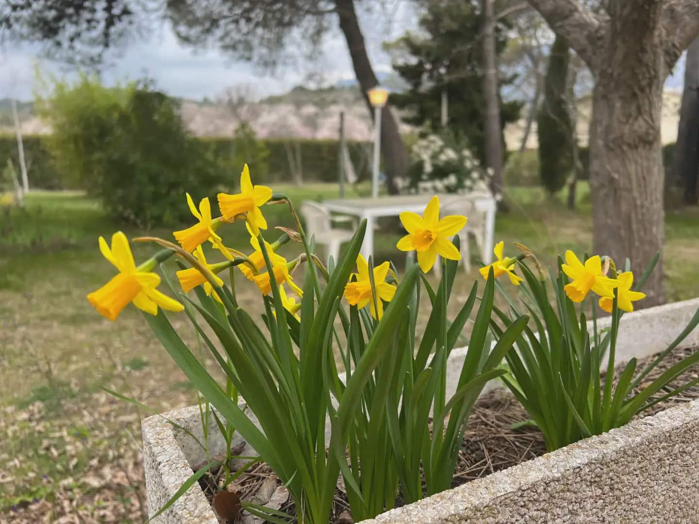 2 Zimmer Finca/Landgut zu verkaufen in Murillo de Gallego - 230.000 € (Ref: 9963499)
