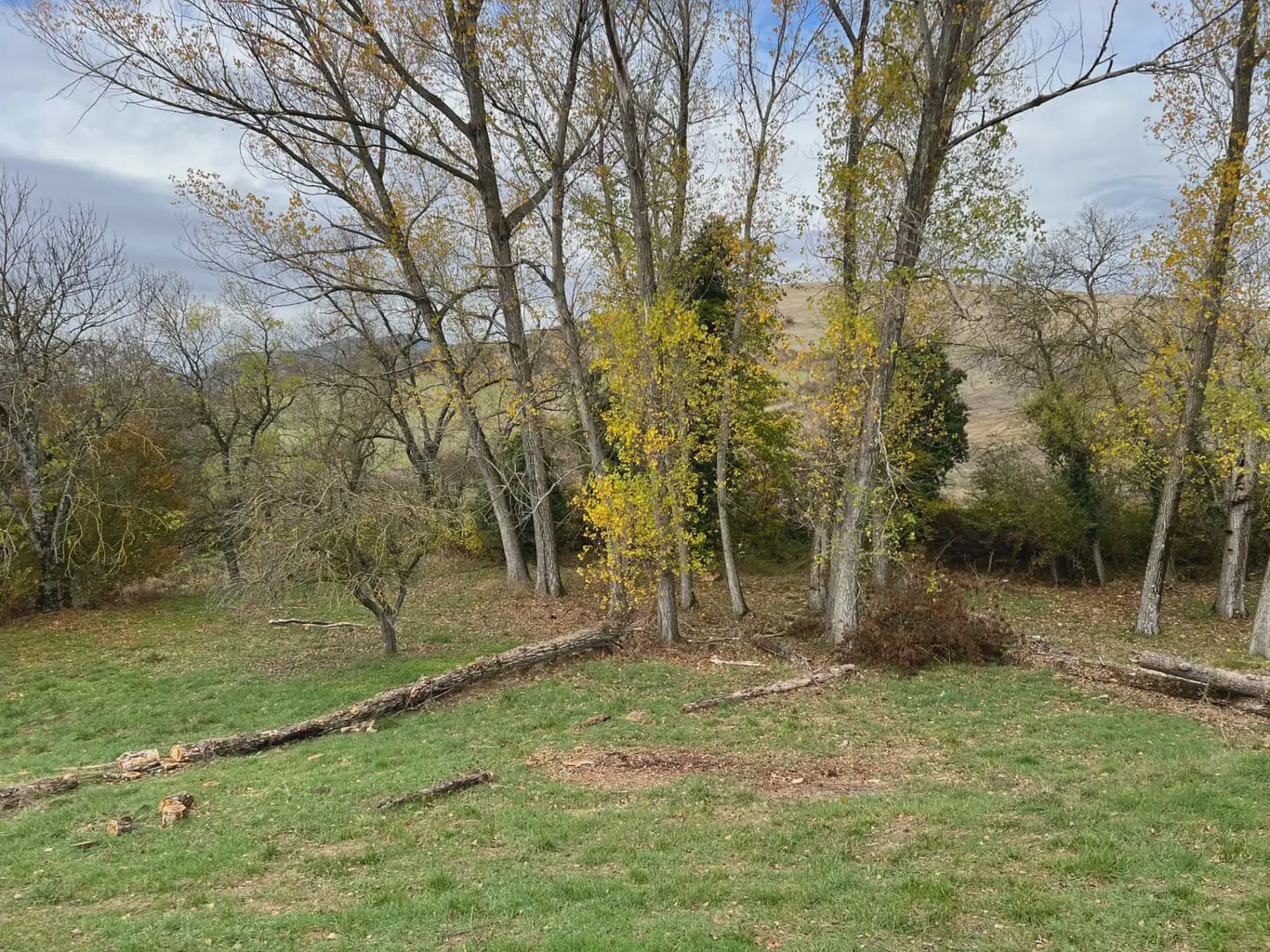 Terrain à Bâtir à vendre à Jaca - 189 999 € (Ref: 9963501)