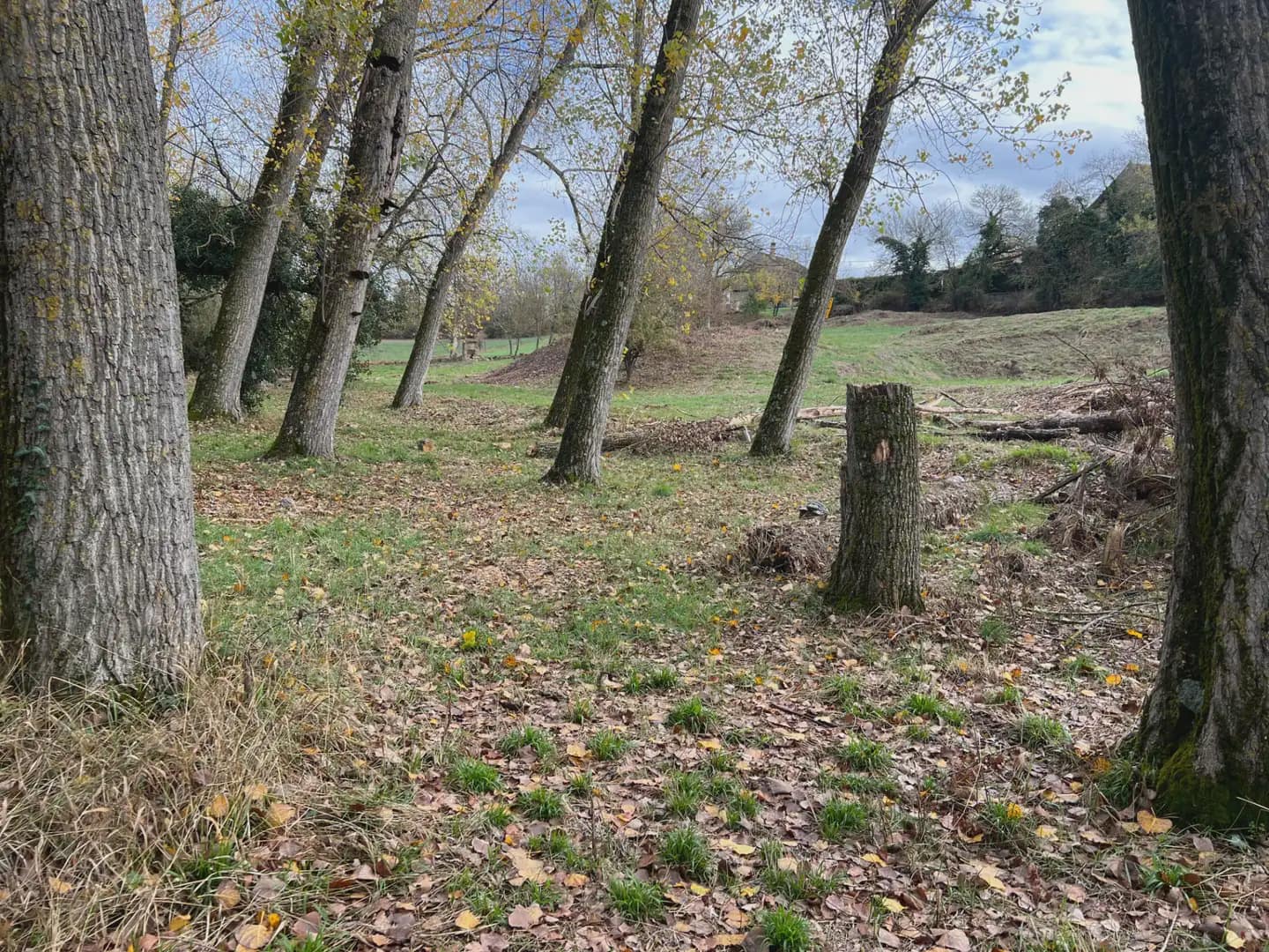 Terrain à Bâtir à vendre à Jaca - 189 999 € (Ref: 9963501)