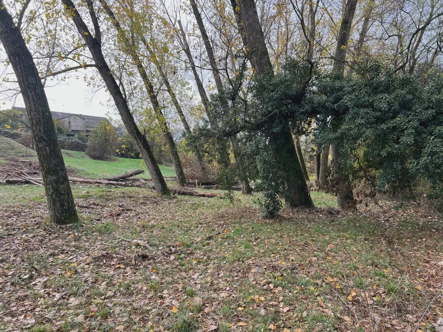 Terrain à Bâtir à vendre à Jaca - 189 999 € (Ref: 9963501)