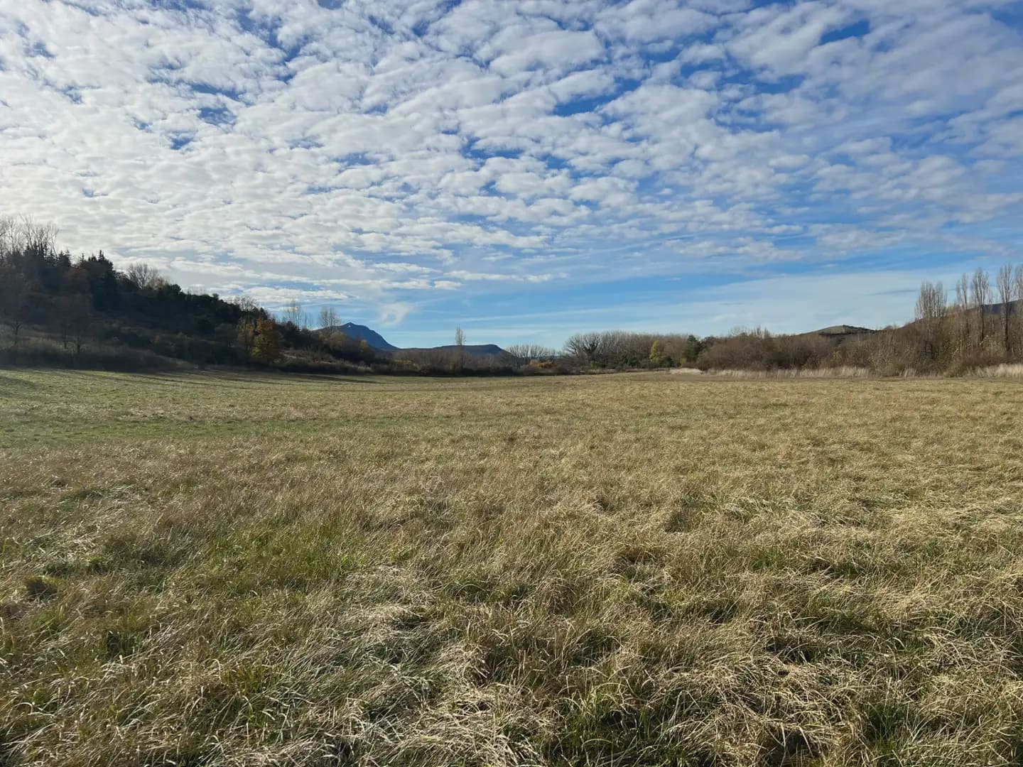 Terreno/Finca Rústica en Jaca en venta - 200.000 € (Ref: 9963504)