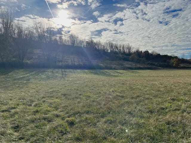 Terreno/Finca Rústica en Jaca en venta - 200.000 € (Ref: 9963504)