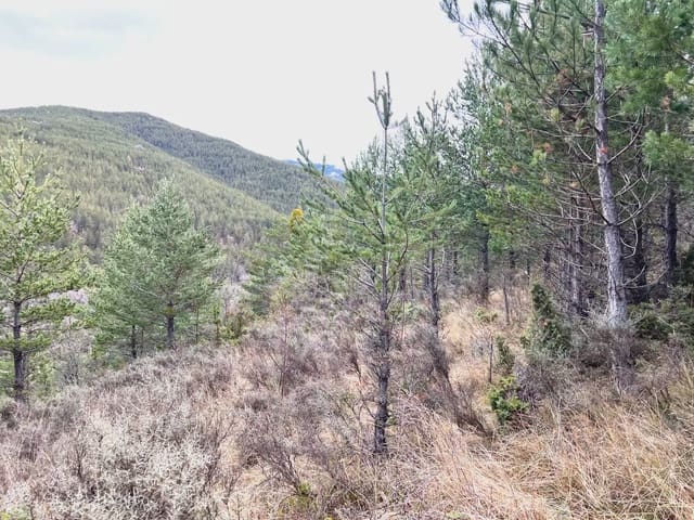 Undeveloped Land for sale in Jaca - € 130,000 (Ref: 9963505)