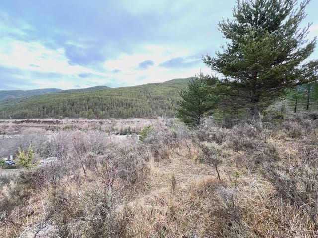 Undeveloped Land for sale in Jaca - € 130,000 (Ref: 9963505)