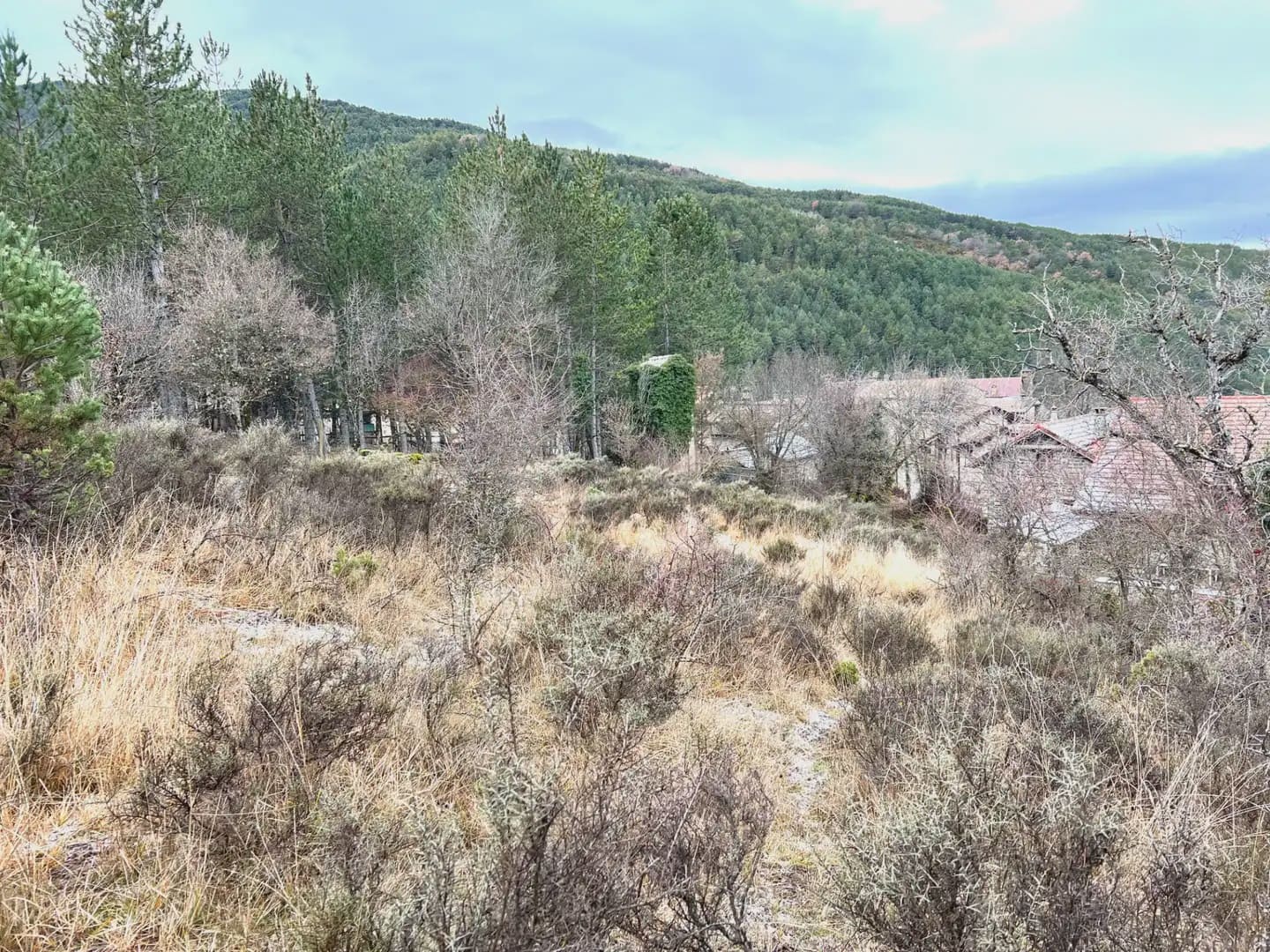 Undeveloped Land for sale in Jaca - € 130,000 (Ref: 9963505)