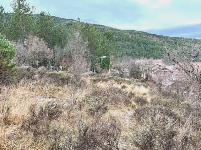 Undeveloped Land for sale in Jaca - € 130,000 (Ref: 9963505)