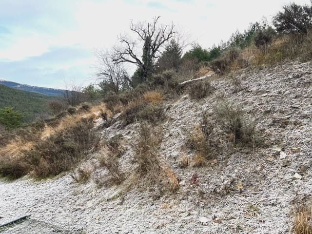 Undeveloped Land for sale in Jaca - € 130,000 (Ref: 9963505)