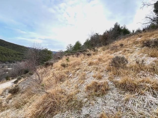 Undeveloped Land for sale in Jaca - € 130,000 (Ref: 9963505)