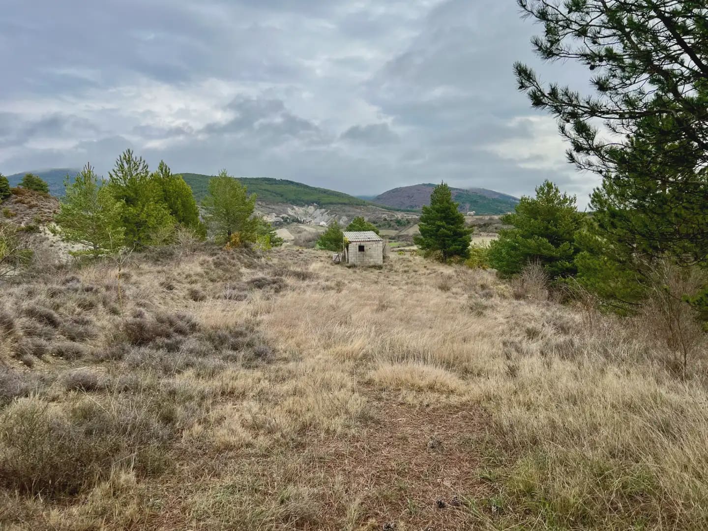 Terre non Aménagée à vendre à Jaca - 42 000 € (Ref: 9963507)