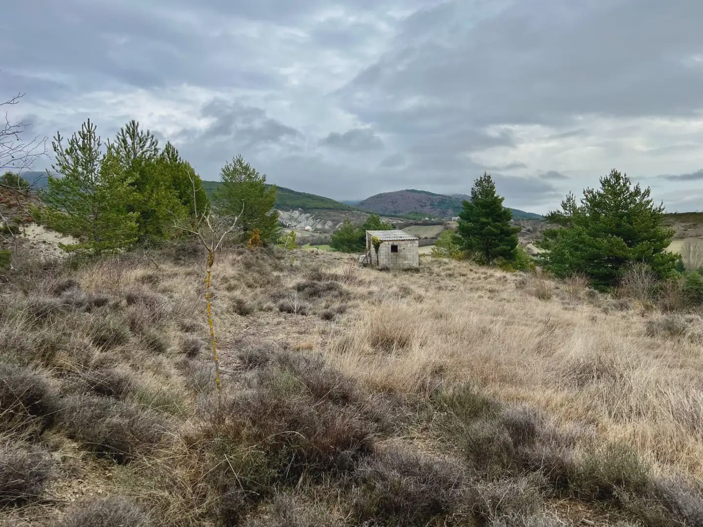 Terre non Aménagée à vendre à Jaca - 42 000 € (Ref: 9963507)