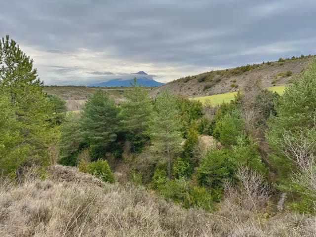 Terre non Aménagée à vendre à Jaca - 42 000 € (Ref: 9963507)