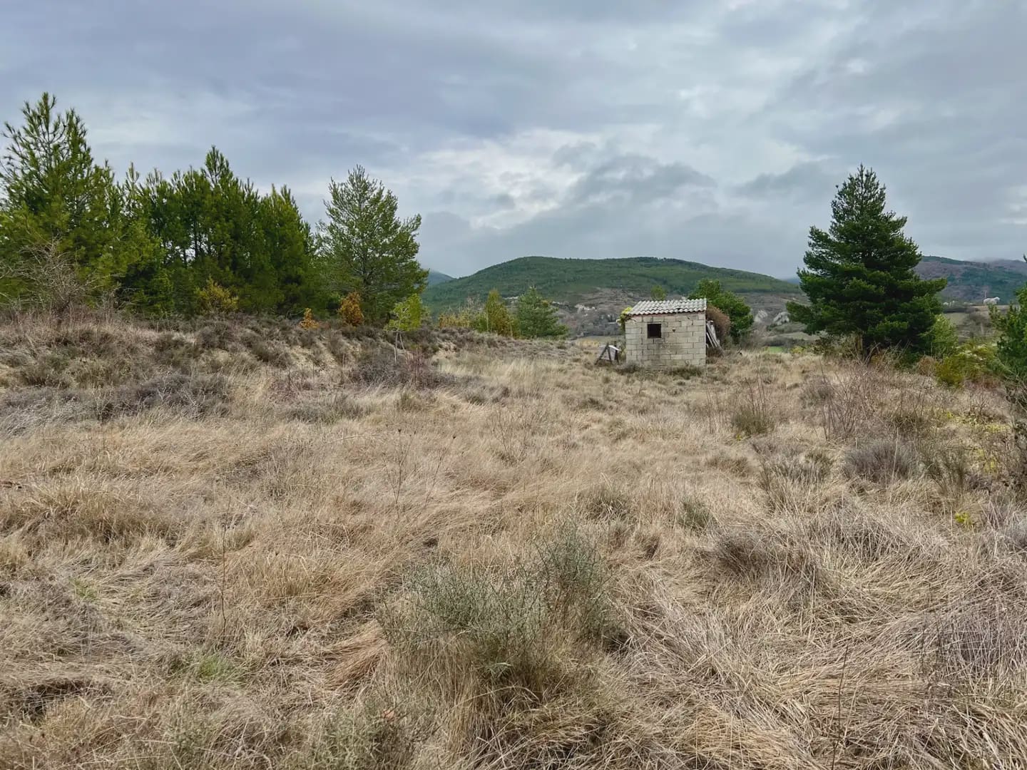 Terre non Aménagée à vendre à Jaca - 42 000 € (Ref: 9963507)