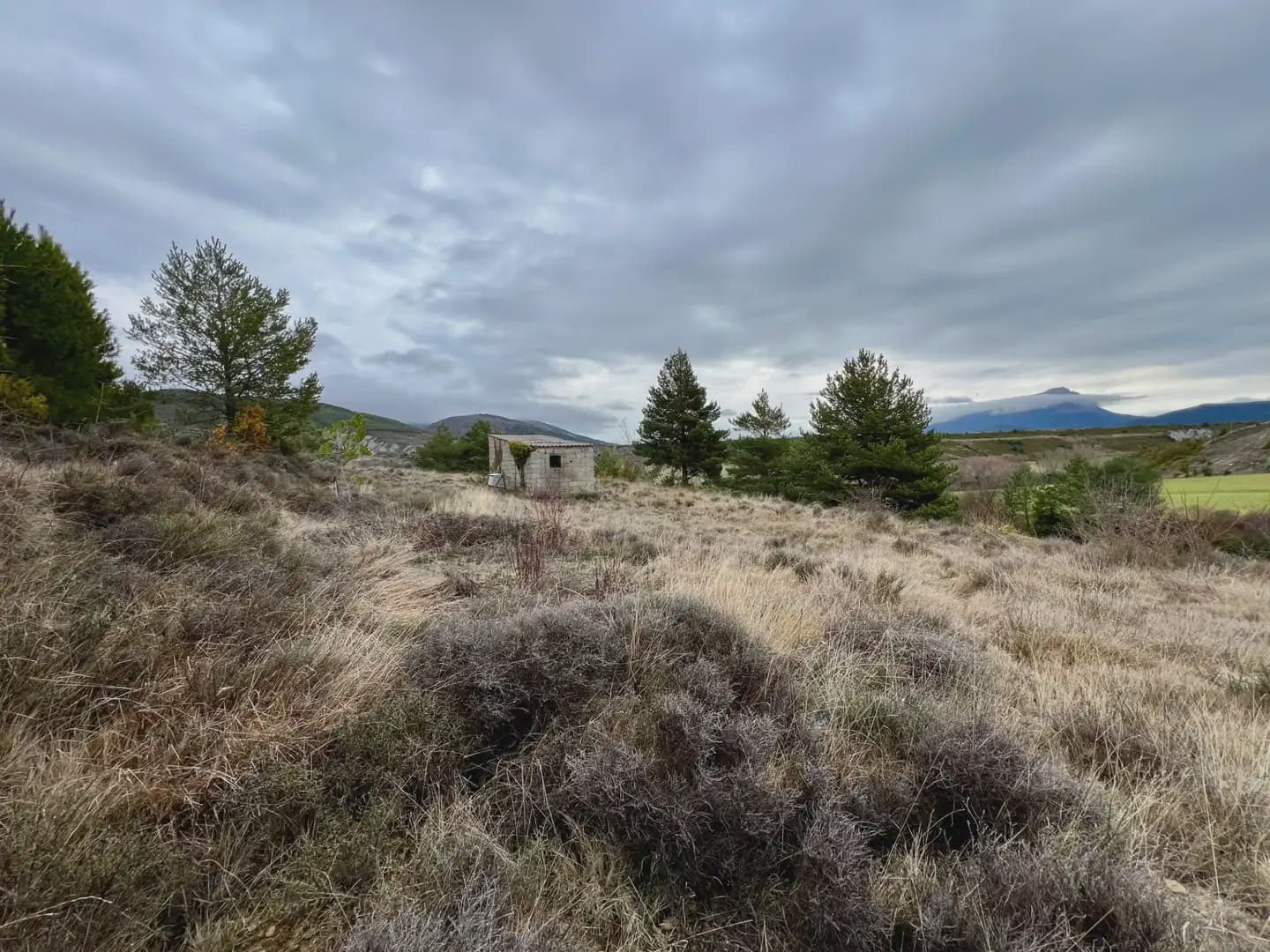 Terre non Aménagée à vendre à Jaca - 42 000 € (Ref: 9963507)