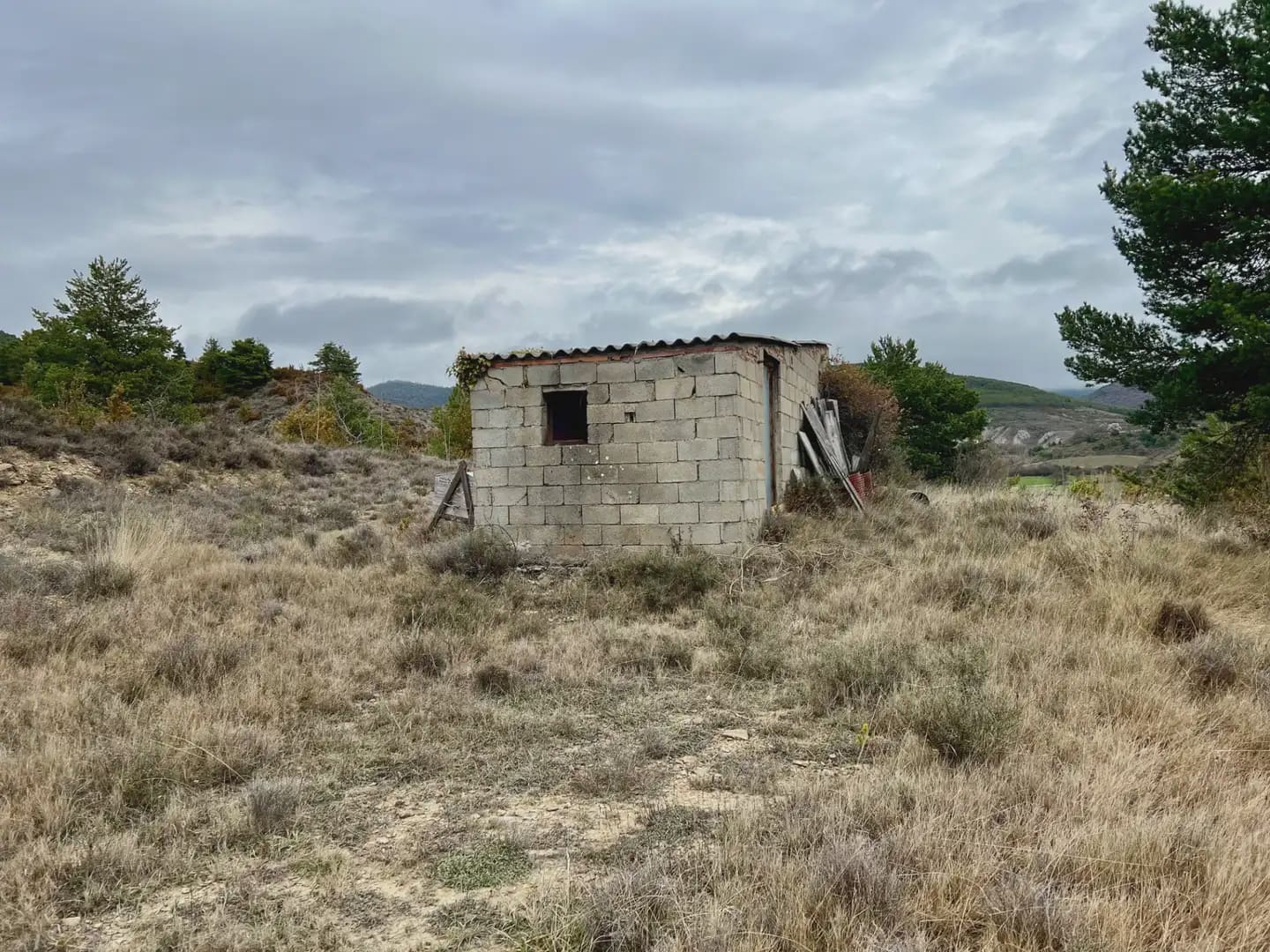 Terre non Aménagée à vendre à Jaca - 42 000 € (Ref: 9963507)