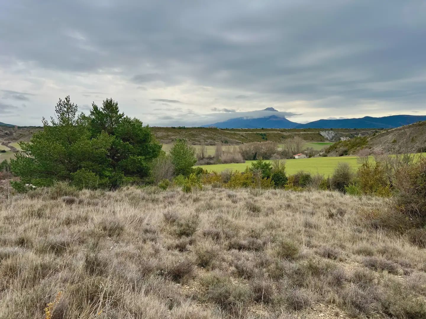 Terre non Aménagée à vendre à Jaca - 42 000 € (Ref: 9963507)