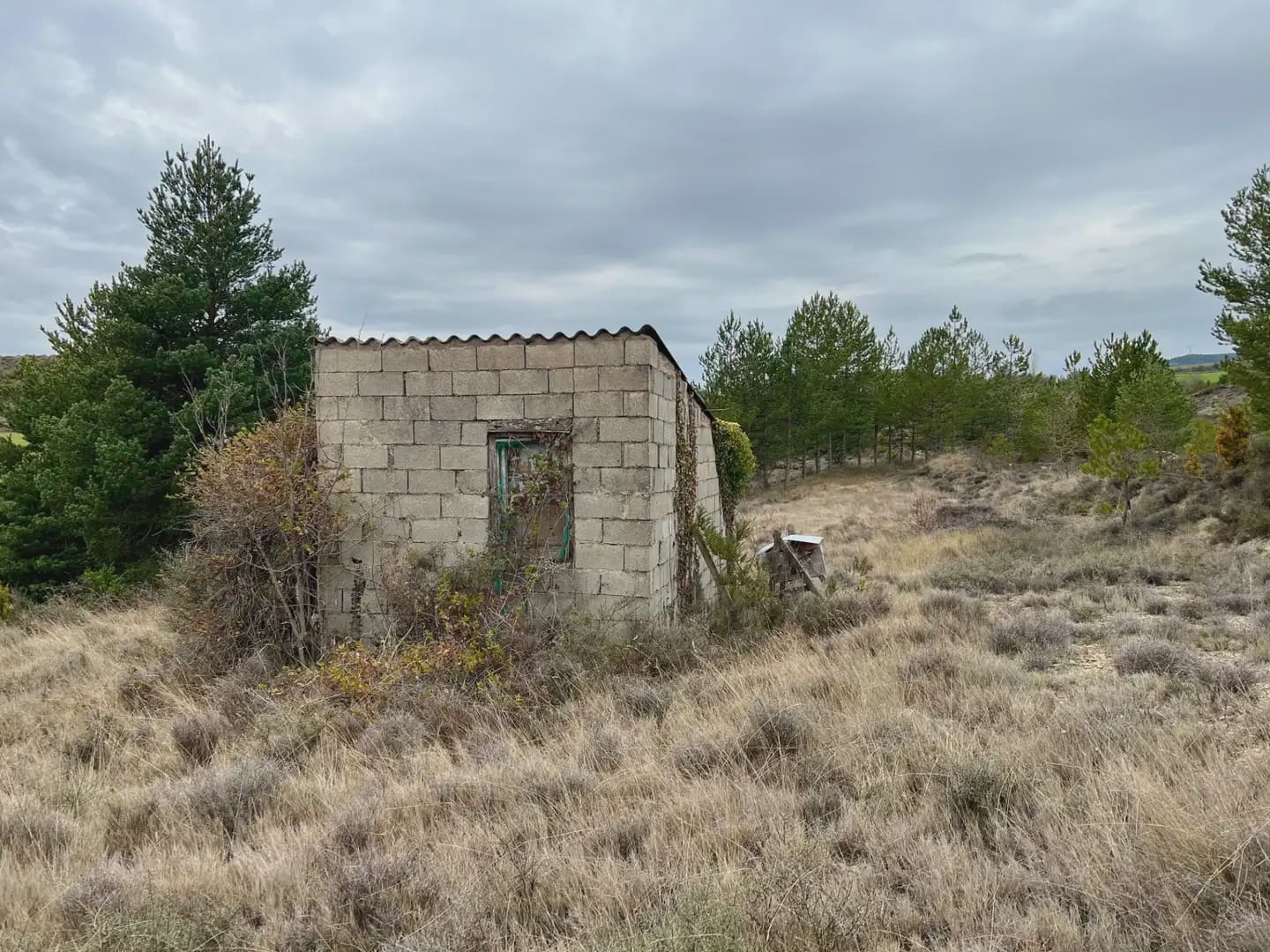 Terre non Aménagée à vendre à Jaca - 42 000 € (Ref: 9963507)