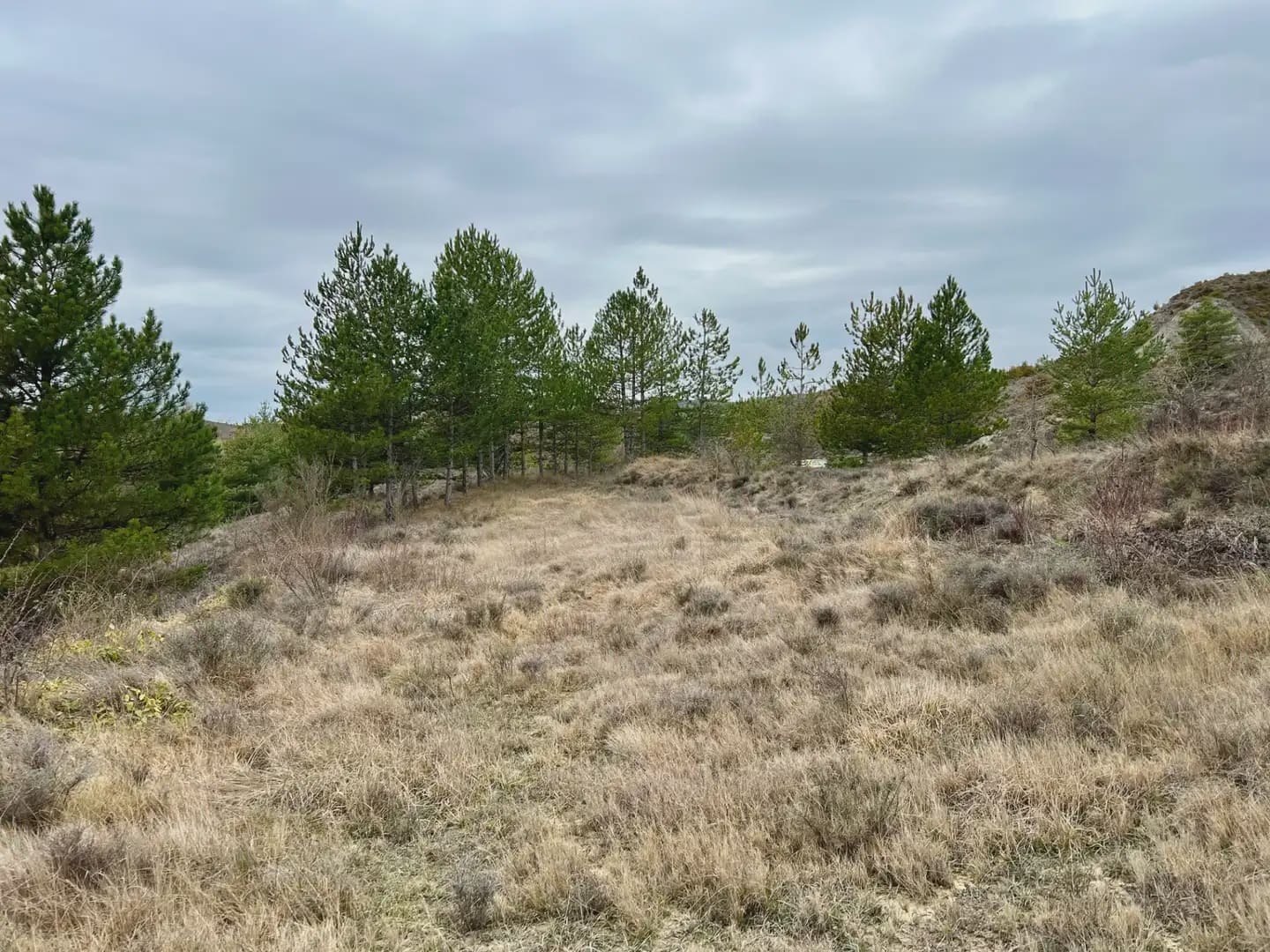 Terre non Aménagée à vendre à Jaca - 42 000 € (Ref: 9963507)