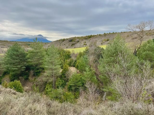Terre non Aménagée à vendre à Jaca - 42 000 € (Ref: 9963507)