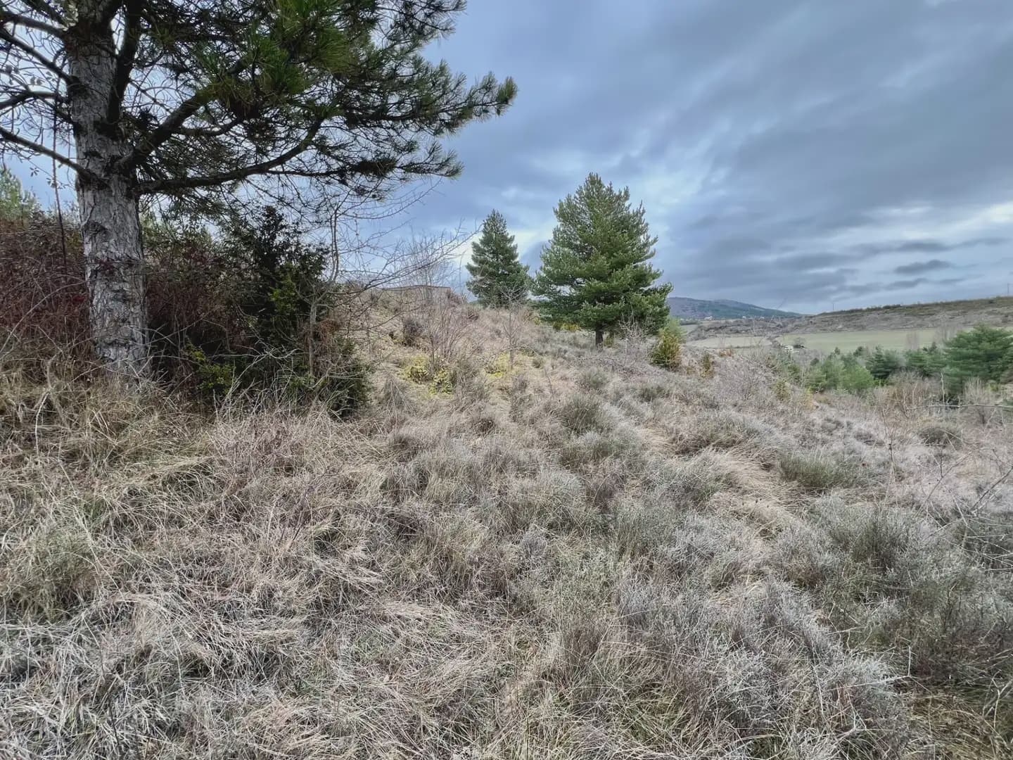 Terre non Aménagée à vendre à Jaca - 42 000 € (Ref: 9963507)