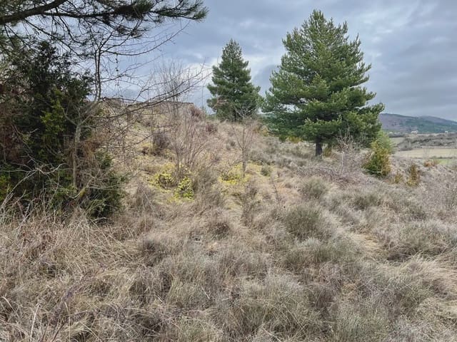 Terre non Aménagée à vendre à Jaca - 42 000 € (Ref: 9963507)